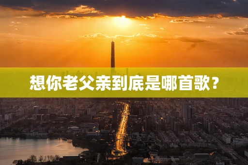 想你老父亲到底是哪首歌？