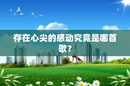 存在心尖的感动究竟是哪首歌？