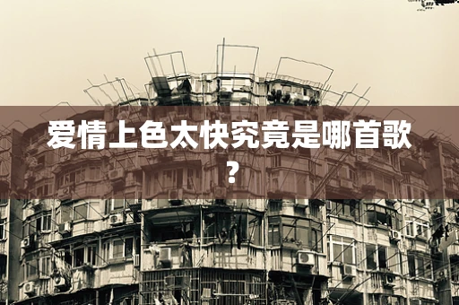 爱情上色太快究竟是哪首歌？