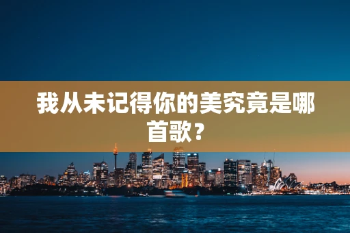 我从未记得你的美究竟是哪首歌？