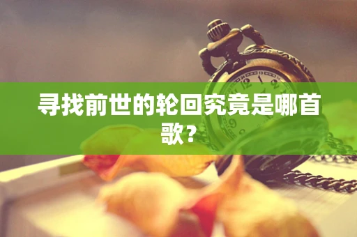 寻找前世的轮回究竟是哪首歌？
