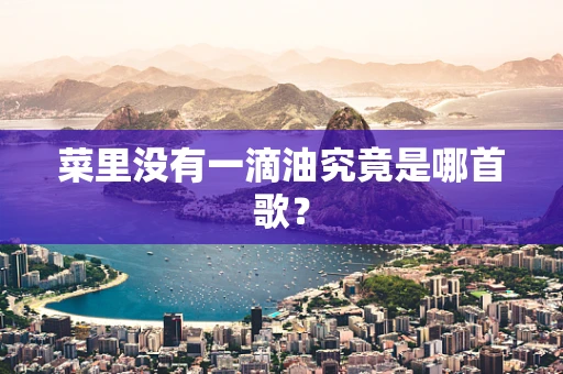 菜里没有一滴油究竟是哪首歌？