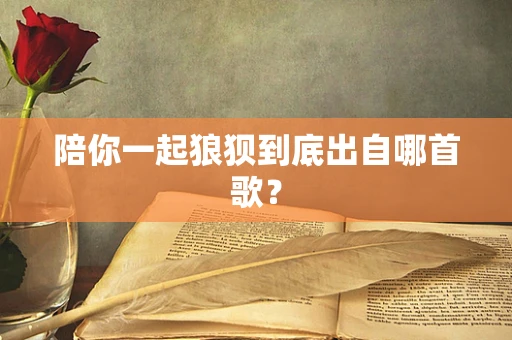 陪你一起狼狈到底出自哪首歌？