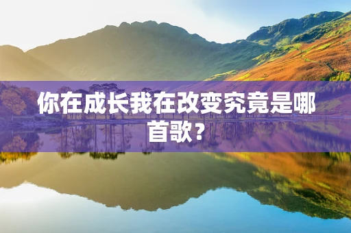 你在成长我在改变究竟是哪首歌？