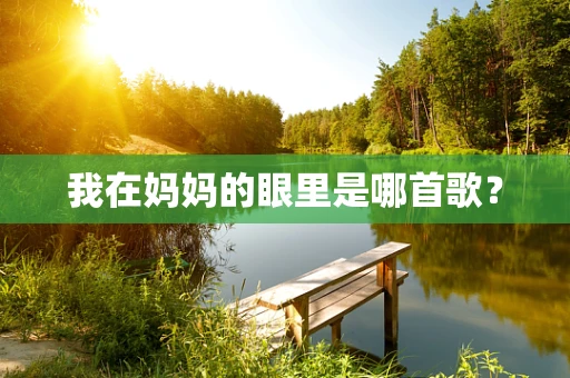 我在妈妈的眼里是哪首歌？
