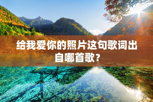 给我爱你的照片这句歌词出自哪首歌？