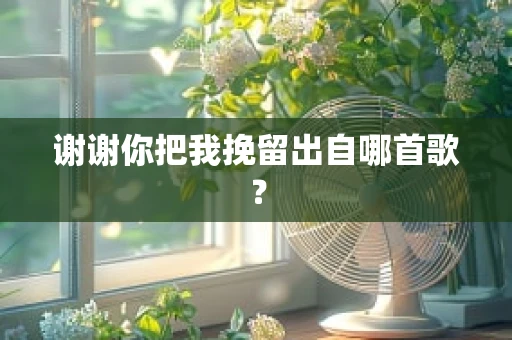 谢谢你把我挽留出自哪首歌？