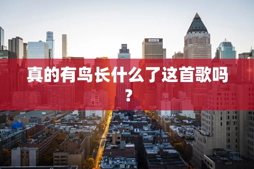 真的有鸟长什么了这首歌吗？