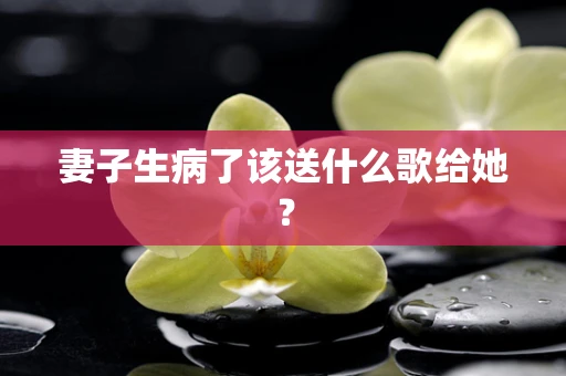 妻子生病了该送什么歌给她？