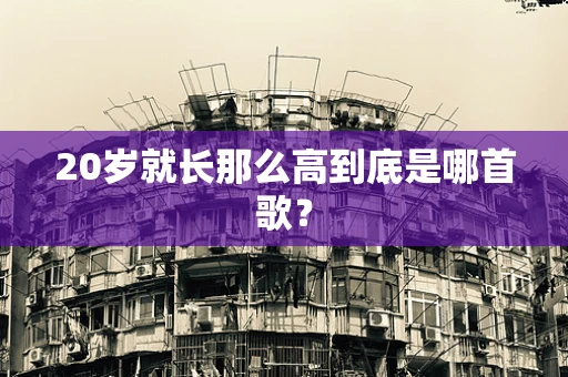 20岁就长那么高到底是哪首歌？