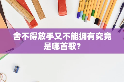 舍不得放手又不能拥有究竟是哪首歌？