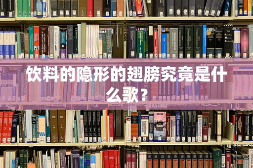 饮料的隐形的翅膀究竟是什么歌？