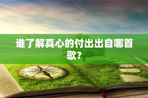 谁了解真心的付出出自哪首歌？