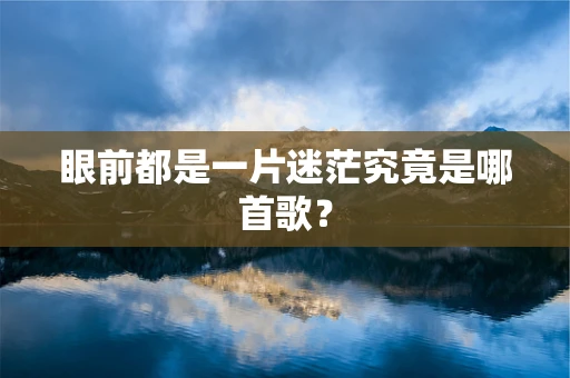 眼前都是一片迷茫究竟是哪首歌？