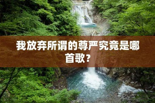 我放弃所谓的尊严究竟是哪首歌？