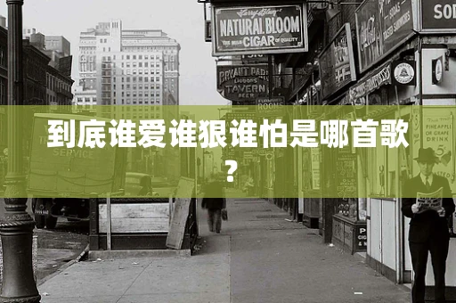 到底谁爱谁狠谁怕是哪首歌？