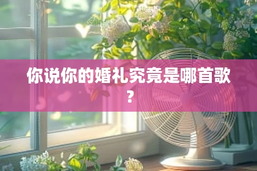 你说你的婚礼究竟是哪首歌？