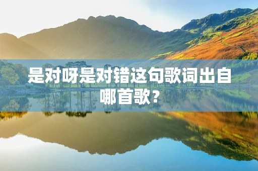 是对呀是对错这句歌词出自哪首歌？