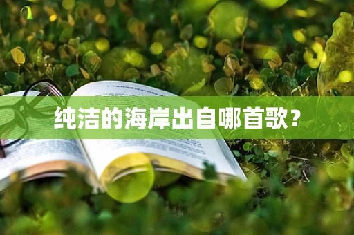 纯洁的海岸出自哪首歌？