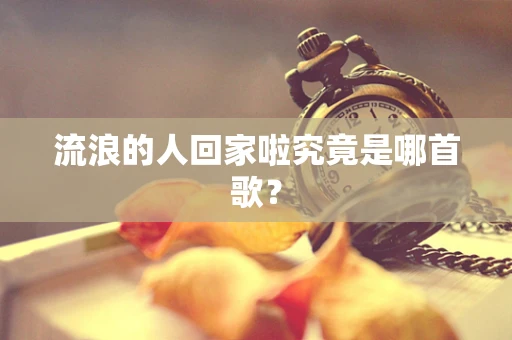 流浪的人回家啦究竟是哪首歌？