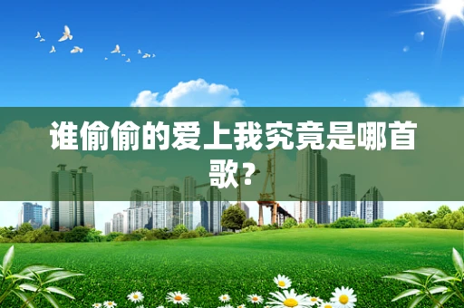 谁偷偷的爱上我究竟是哪首歌？