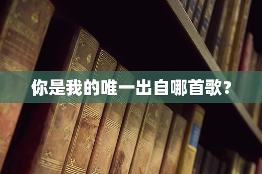 你是我的唯一出自哪首歌？