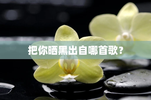 把你晒黑出自哪首歌？