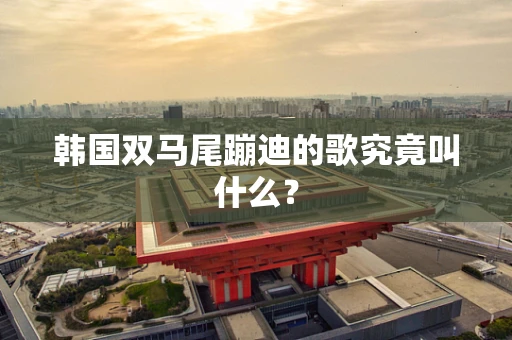 韩国双马尾蹦迪的歌究竟叫什么？