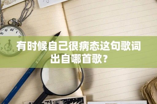 有时候自己很病态这句歌词出自哪首歌？