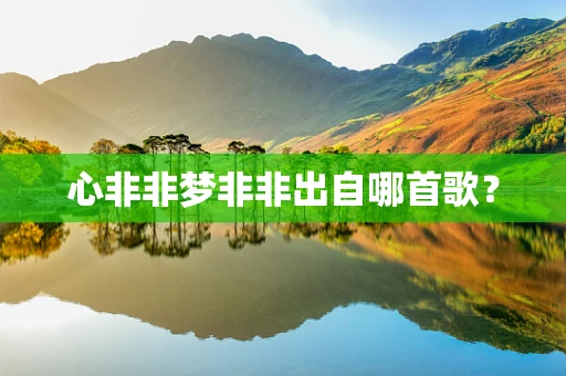 心非非梦非非出自哪首歌？