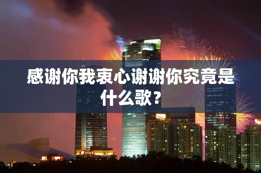 感谢你我衷心谢谢你究竟是什么歌？