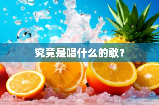 究竟是唱什么的歌？