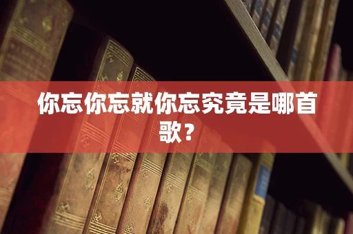 你忘你忘就你忘究竟是哪首歌？