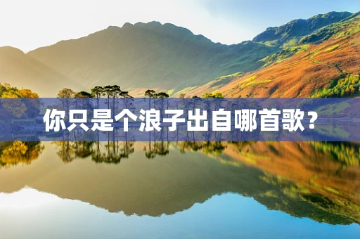 你只是个浪子出自哪首歌？