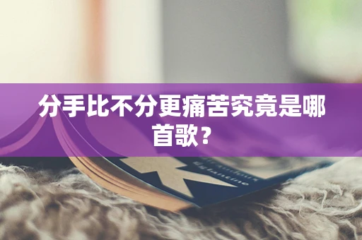 分手比不分更痛苦究竟是哪首歌？