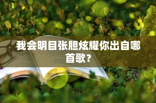 我会明目张胆炫耀你出自哪首歌？