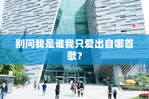 别问我是谁我只爱出自哪首歌？