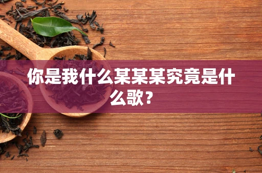 你是我什么某某某究竟是什么歌？