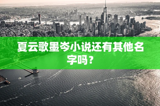 夏云歌墨岑小说还有其他名字吗？
