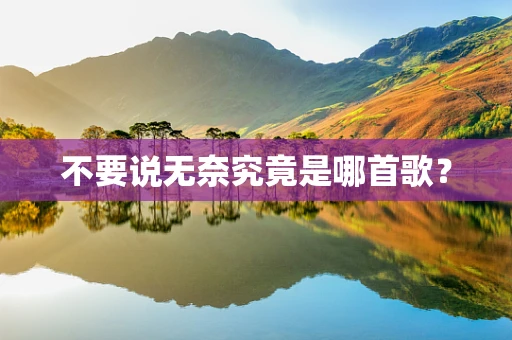 不要说无奈究竟是哪首歌？