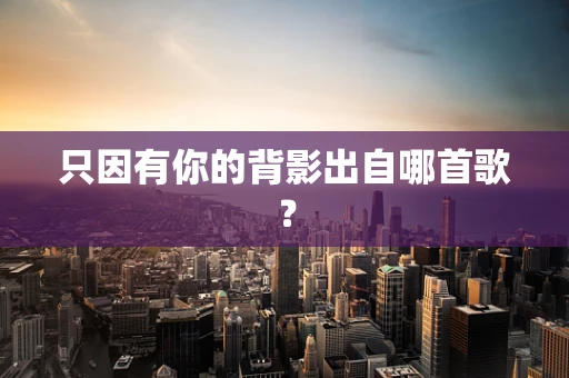 只因有你的背影出自哪首歌？