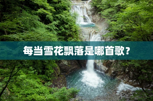 每当雪花飘落是哪首歌？