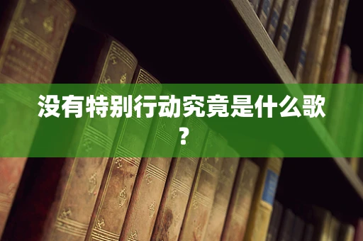 没有特别行动究竟是什么歌？