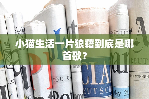 小猫生活一片狼藉到底是哪首歌？