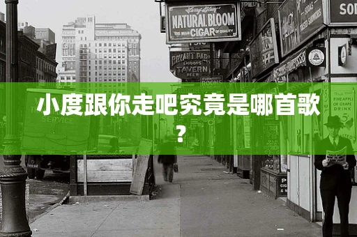 小度跟你走吧究竟是哪首歌？