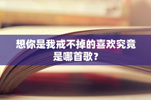 想你是我戒不掉的喜欢究竟是哪首歌？