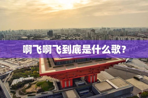 啊飞啊飞到底是什么歌？