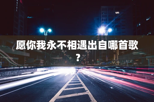 愿你我永不相遇出自哪首歌？
