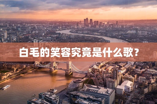 白毛的笑容究竟是什么歌？