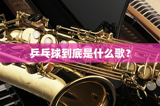 乒乓球到底是什么歌？